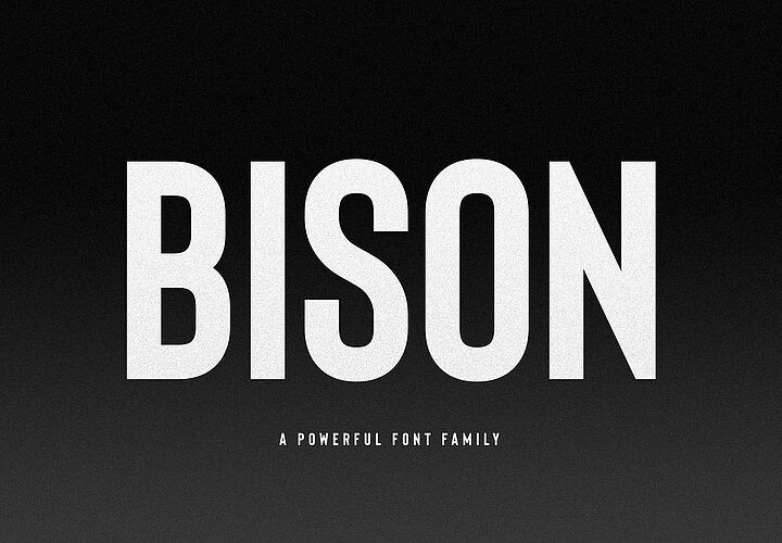 Bison Font Family 1