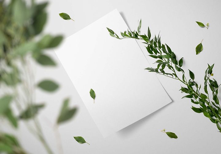 Free Floral Mockup Free Scene Psd 1