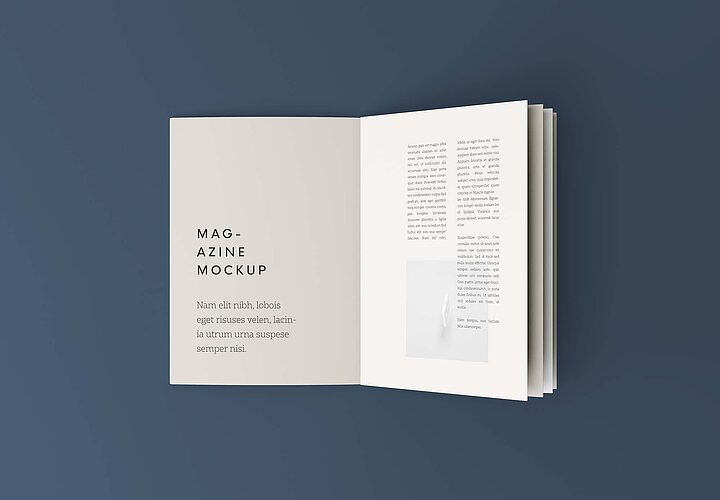 Free Overhead Booklet Mockup Psd 1