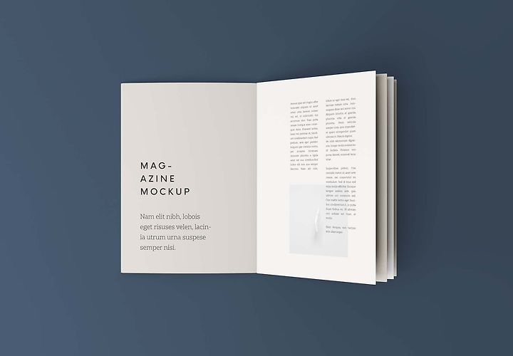 Free Overhead Booklet Mockup Psd 1