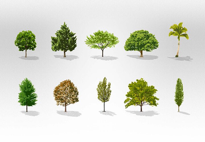 Free Vector Trees Collection 1