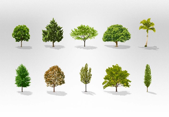 Free Vector Trees Collection 1