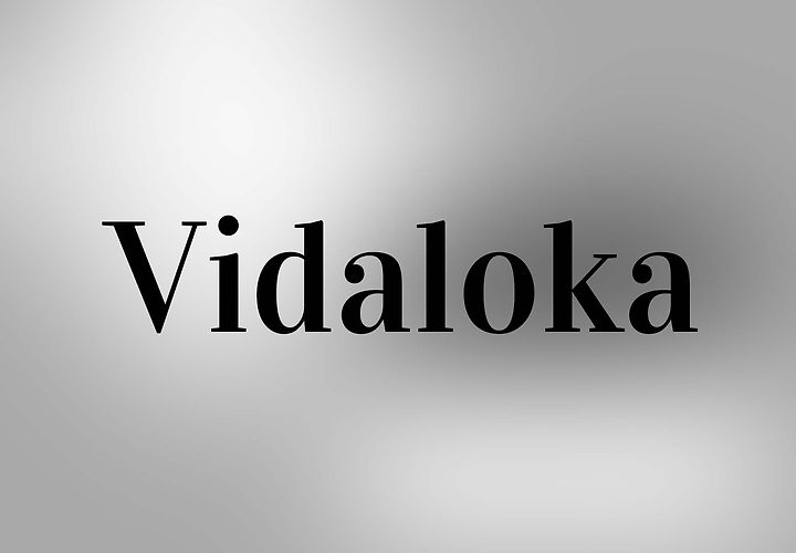 Vidaloka Serif Font 1