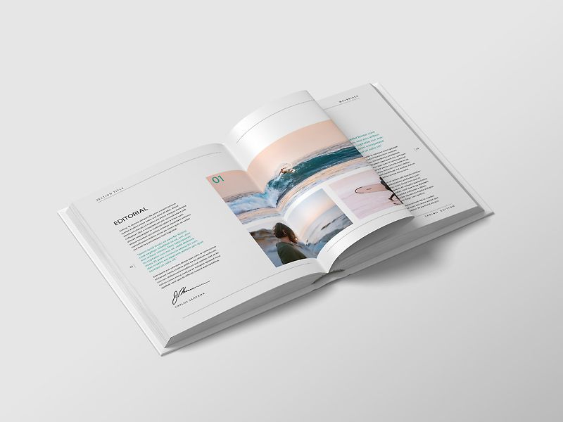 Free book mockup